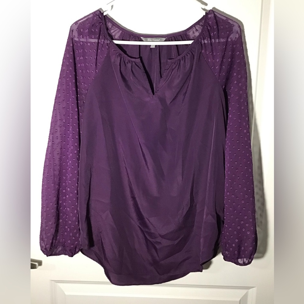 Daisy Fuentes Deep Purple Blouse With Sheer Long Sleeves Size S